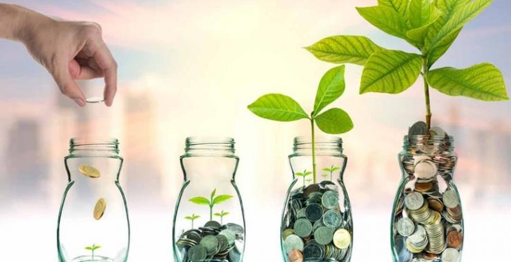 person growing coins in jars